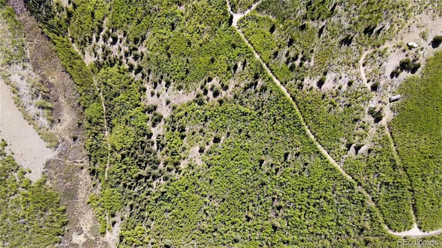 59 Aspen Way, Fairplay, CO 80440