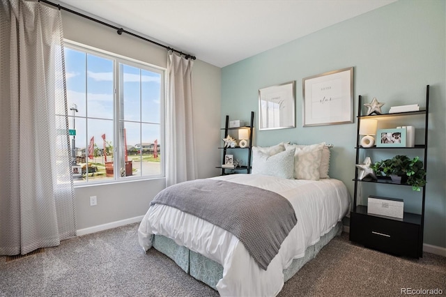 9192 Telluride Ct, Commerce City, CO 80022 - photo 18