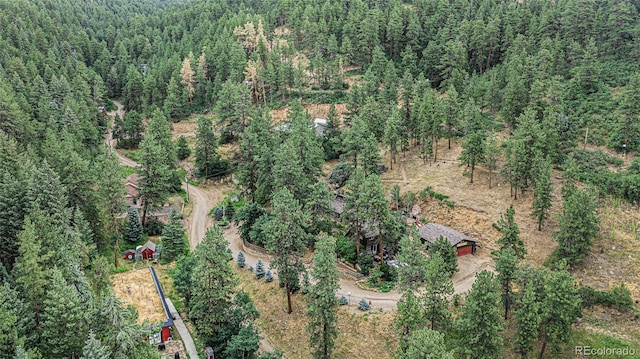 9236 S Mica Mine Gulch Rd, Littleton, CO 80127 - photo 21
