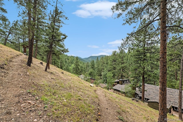 9236 S Mica Mine Gulch Rd, Littleton, CO 80127 - photo 22