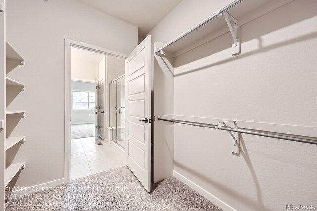834 W 128th Pl, Westminster, CO 80234 - walk in closet with light carpet