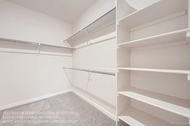 834 W 128th Pl, Westminster, CO 80234 - walk in closet featuring carpet