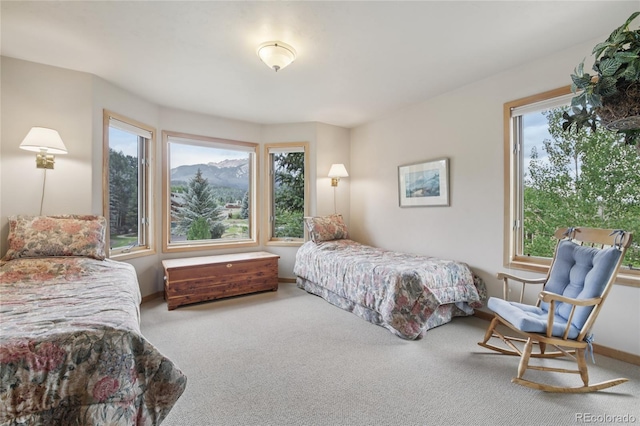 1545 Legend Lake Cir, Silverthorne, CO 80498 - photo 15