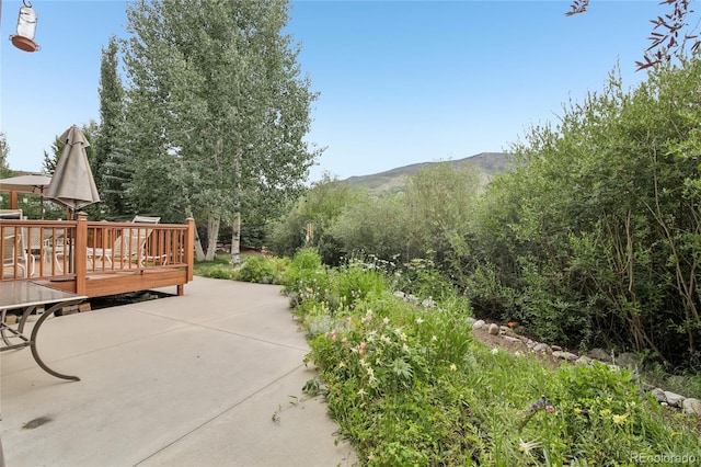 1545 Legend Lake Cir, Silverthorne, CO 80498 - photo 28