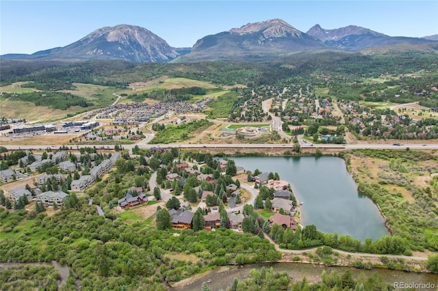 1545 Legend Lake Cir, Silverthorne, CO 80498 - photo 41