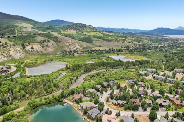 1545 Legend Lake Cir, Silverthorne, CO 80498 - photo 44