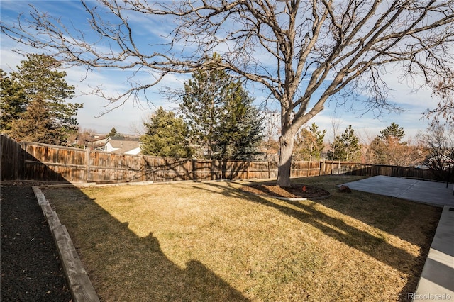 view of yard with a patio area