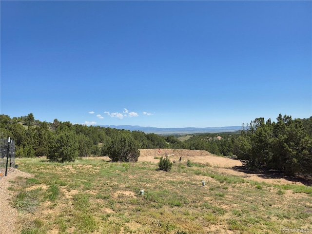 80 Locke Mountain Pl, Florence, CO 81226 - photo 30