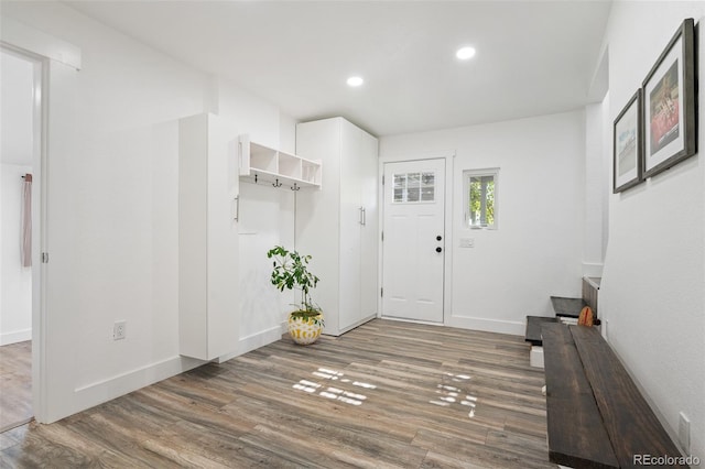 entryway with dark wood-type flooring