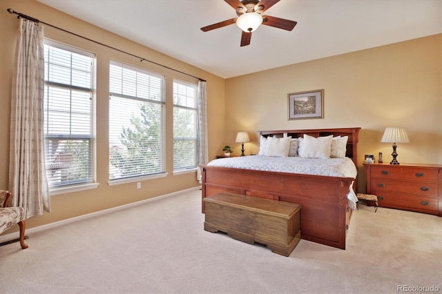 8312 Hackamore Rd, Littleton, CO 80125 - photo 20