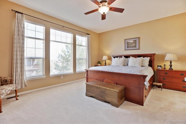 8312 Hackamore Rd, Littleton, CO 80125 - photo 21
