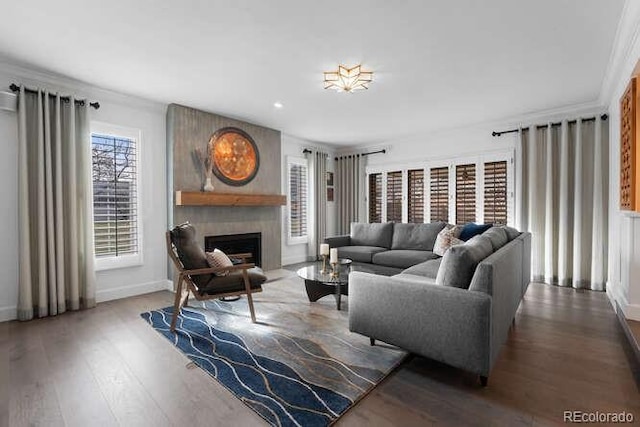 living room featuring crown molding, a large fireplace, and wood-type flooring