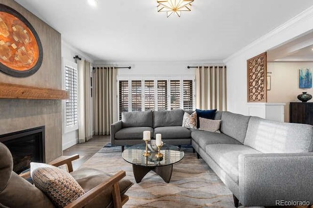 living room featuring light hardwood / wood-style floors, a large fireplace, and ornamental molding