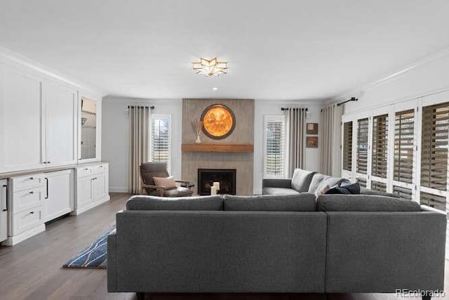 living room featuring a fireplace and dark hardwood / wood-style flooring