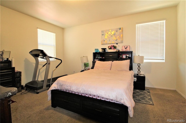 713 Indigo St, Brighton, CO 80603 - bedroom featuring carpet flooring and baseboards