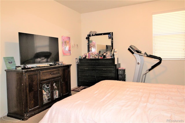 713 Indigo St, Brighton, CO 80603 - view of bedroom