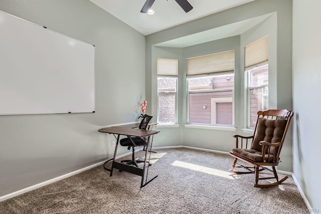 10117 Waco St, Commerce City, CO 80022 - office space with carpet, plenty of natural light, and a ceiling fan