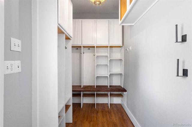walk in closet with wood finished floors