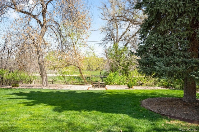 view of yard