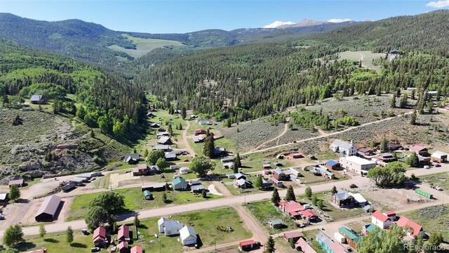 101 3rd St, Pitkin, CO 81241 - photo 1