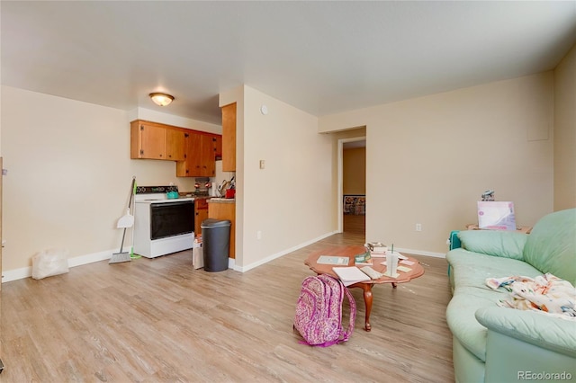 1291 W 3rd Ave, Broomfield, CO 80020 - living area featuring baseboards and light wood-type flooring