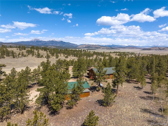 1948 Wagon Wheel Rd, Hartsel, CO 80449 - mountain view featuring rural landscape