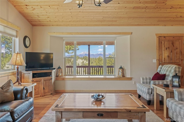 1948 Wagon Wheel Rd, Hartsel, CO 80449 - living area featuring plenty of natural light, light wood-type flooring, wood ceiling, and vaulted ceiling