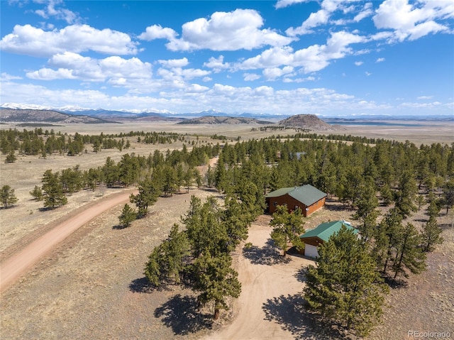 1948 Wagon Wheel Rd, Hartsel, CO 80449 - view of rural area with a mountainous background
