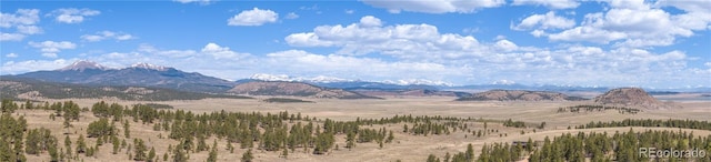 1948 Wagon Wheel Rd, Hartsel, CO 80449 - view of mountain background