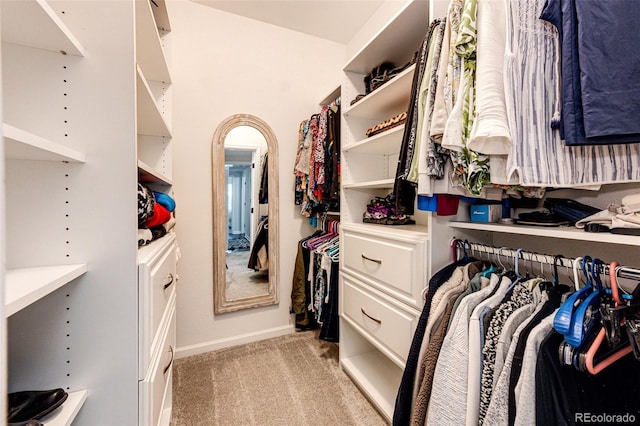 5439 S Dover St Unit 101, Littleton, CO 80123 - walk in closet featuring light carpet