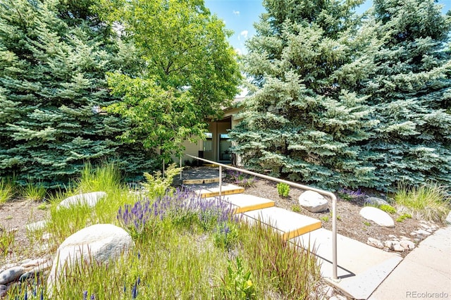 5439 S Dover St Unit 101, Littleton, CO 80123 - view of yard