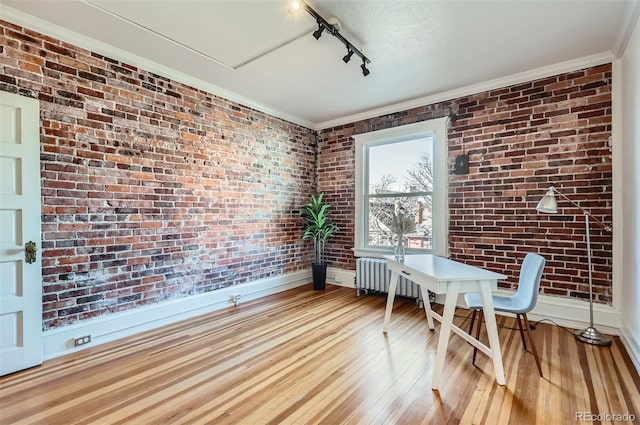 interior space featuring light wood-type flooring, track lighting, ornamental molding, radiator, and brick wall