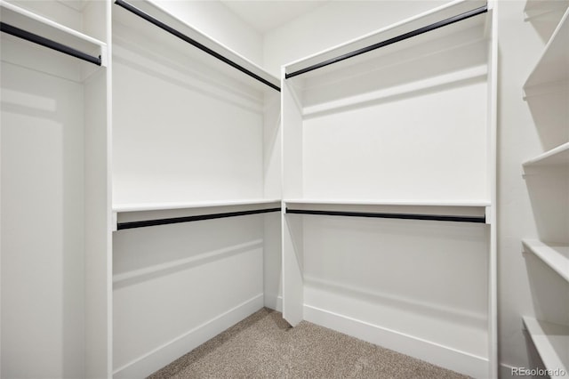 1735 Lowell Blvd, Denver, CO 80204 - spacious closet with light colored carpet