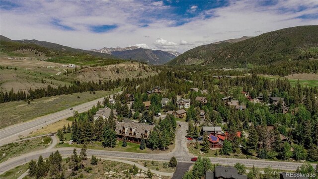74 Stag Trl, Dillon, CO 80435 - photo 36