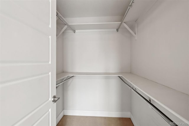 view of walk in closet