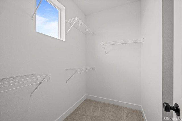 2736 W 68th Ave, Denver, CO 80221 - spacious closet featuring light colored carpet