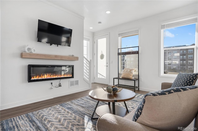 living room featuring crown molding and hardwood / wood-style floors