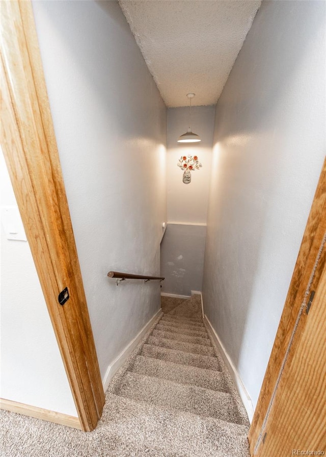 2013 Ambleside Dr, Colorado Springs, CO 80915 - photo 26