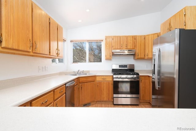 kitchen featuring sink, stainless steel appliances, and lofted ceiling