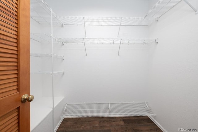 walk in closet with dark wood-type flooring