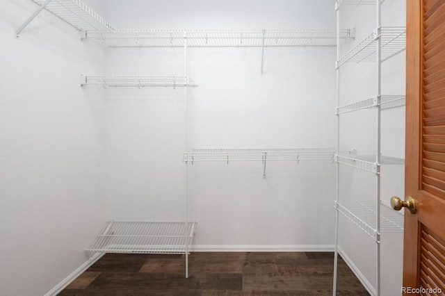 walk in closet with dark hardwood / wood-style flooring