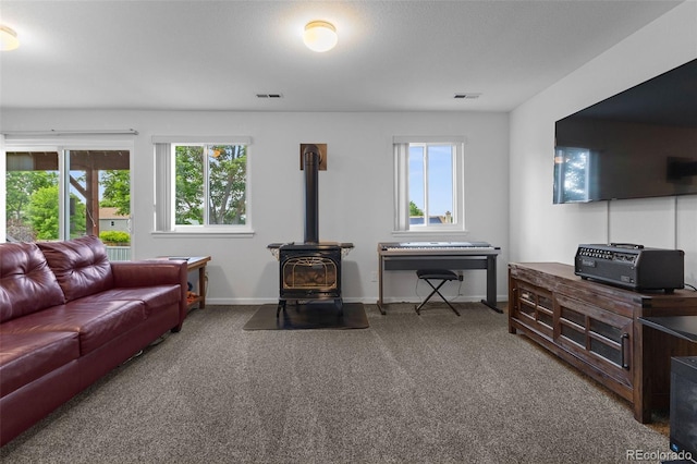 12277 W Chenango Dr, Morrison, CO 80465 - living area with a wood stove and carpet