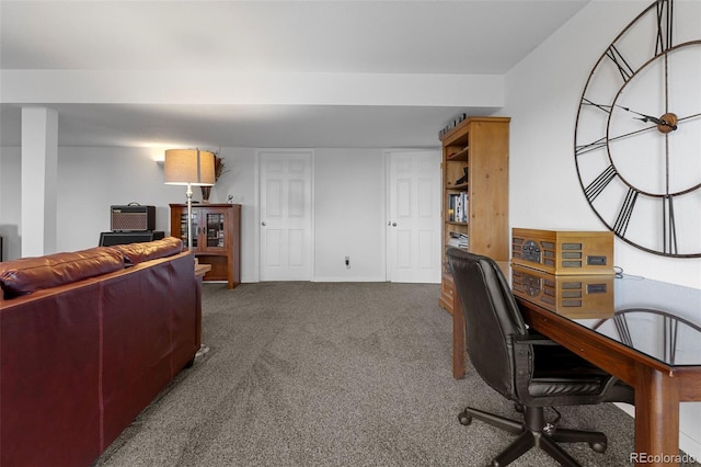 12277 W Chenango Dr, Morrison, CO 80465 - home office featuring carpet