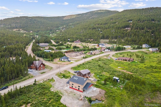 530 Silver Creek Rd, Idaho Springs, CO 80452 - photo 37