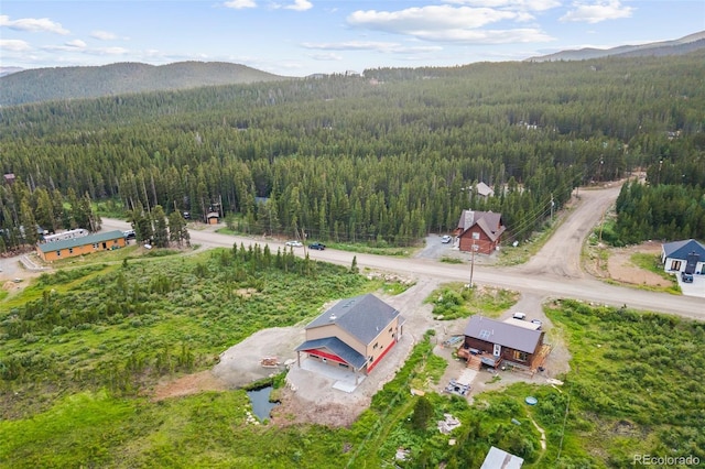 530 Silver Creek Rd, Idaho Springs, CO 80452 - photo 38