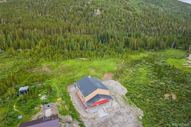530 Silver Creek Rd, Idaho Springs, CO 80452 - photo 39