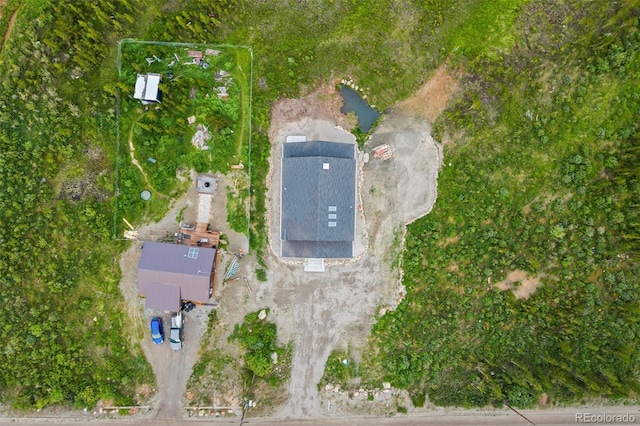 530 Silver Creek Rd, Idaho Springs, CO 80452 - photo 40