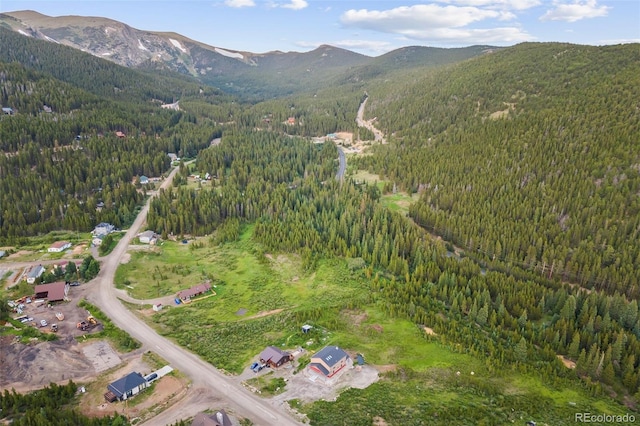 530 Silver Creek Rd, Idaho Springs, CO 80452 - photo 41