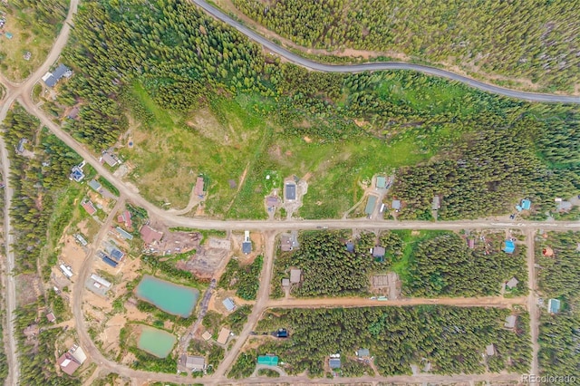530 Silver Creek Rd, Idaho Springs, CO 80452 - photo 42