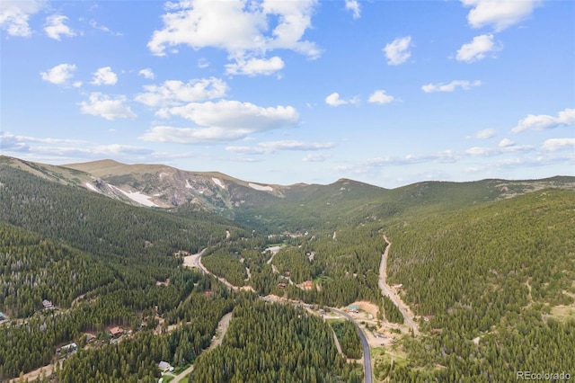 530 Silver Creek Rd, Idaho Springs, CO 80452 - photo 44